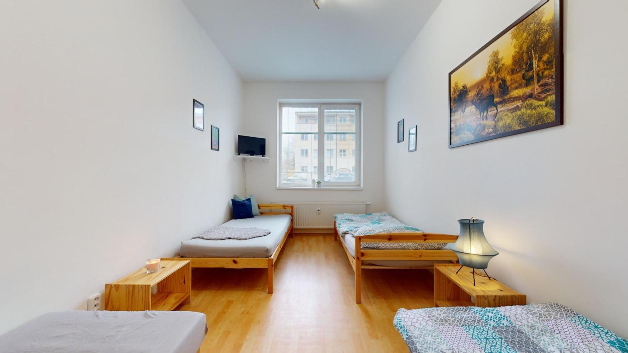 Apartman Topolova 912B 米洛维采 外观 照片