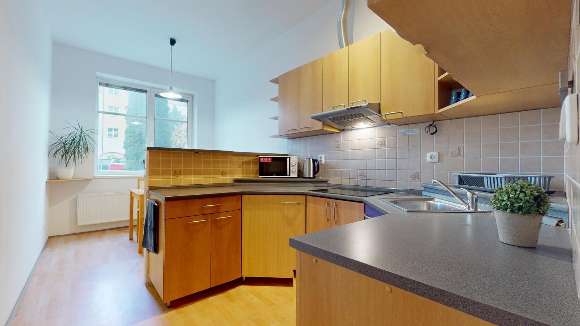Apartman Topolova 912B 米洛维采 外观 照片